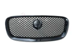 Jaguar Radiator Grille C2Z20498 - Image 1
